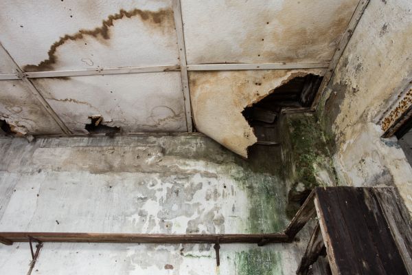 Water Damage Service in Sun City West