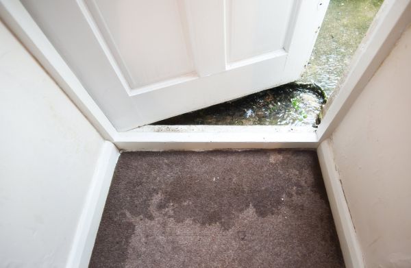 Wet Carpet Restoration in Sun City West