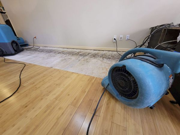 Water Damage Mitigation in Sun City West