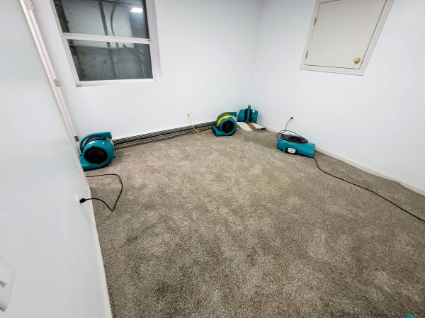 Flood Restoration Service in Sun City West
