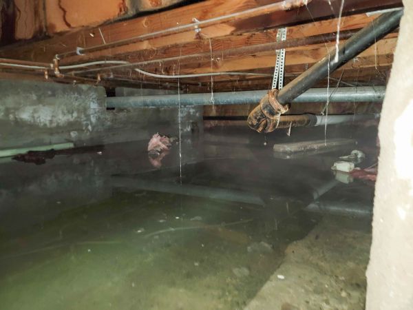 Crawlspace Water Restoration in Sun City West