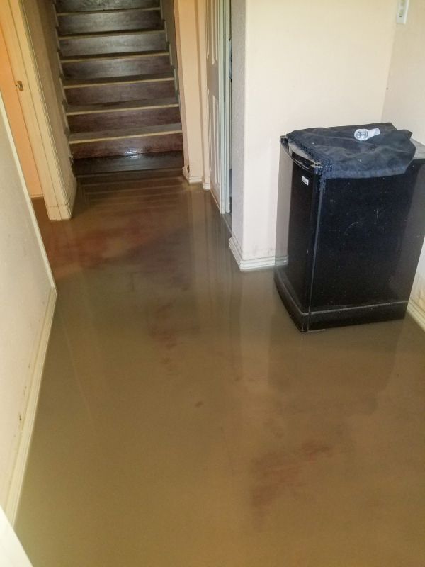 Flooded Basement Cleanup detail
